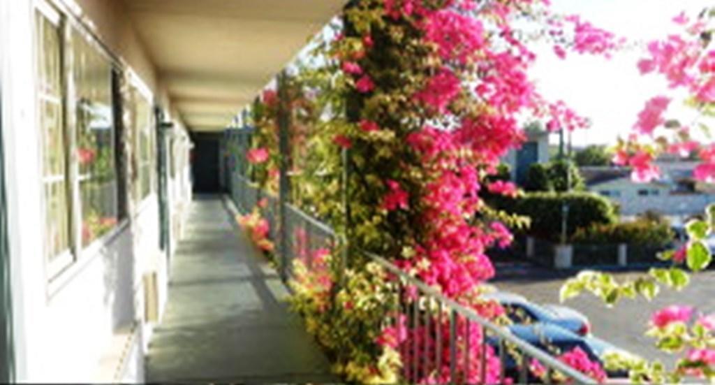 Antioch Executive Inn ภายนอก รูปภาพ